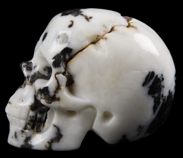 Skull Zebra Jaspis